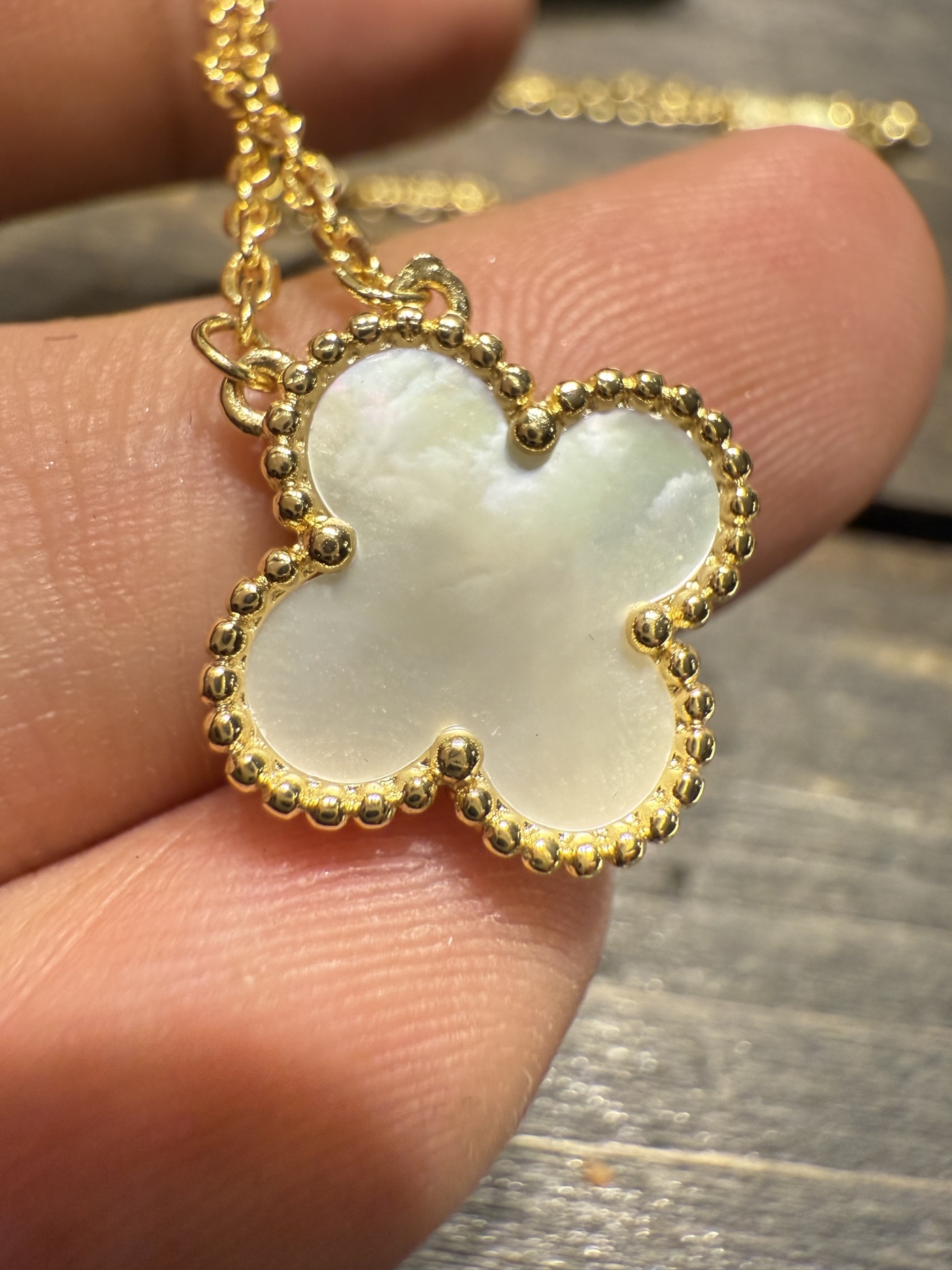 af45bd126726d2f257bcfd2ab02c7ecd_1761730177_4985.jpg af45bd126726d2f257bcfd2ab02c7ecd_1761730177_4985.jpg