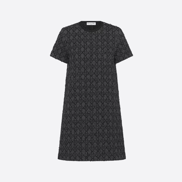 디올 오블리크 자카드 미디 드레스