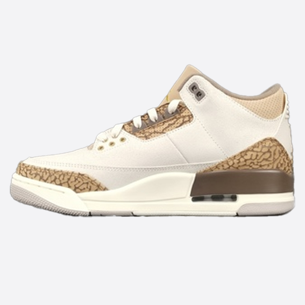 Jordan Air basketball shoes ct8532-102